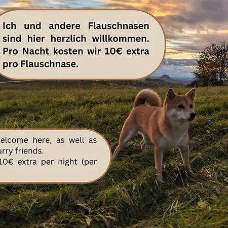 Appartement R1 - Urlaubsmagie - Bad Schandau Fusslaeufig, Garten *